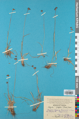 KPABG012426
