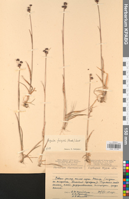 KPABG012450