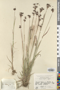 KPABG012497