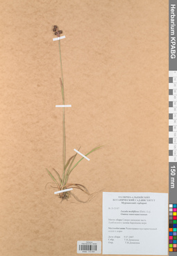 KPABG012504