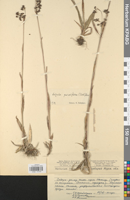 KPABG012567