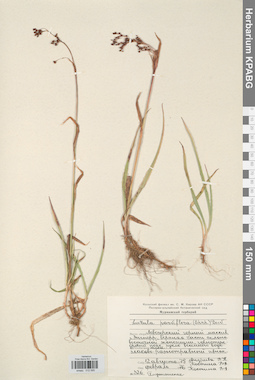 KPABG012595