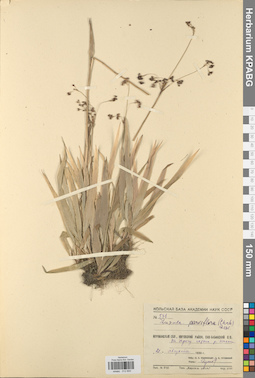 KPABG012600