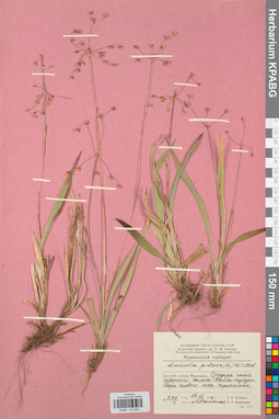 KPABG012644