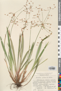 KPABG012653