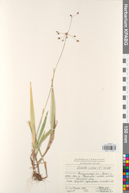 KPABG012657
