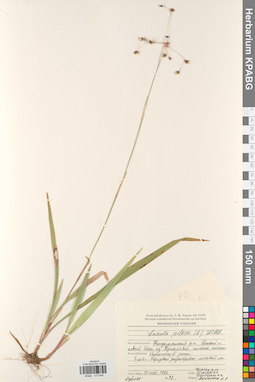 KPABG012658