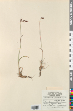 KPABG012720