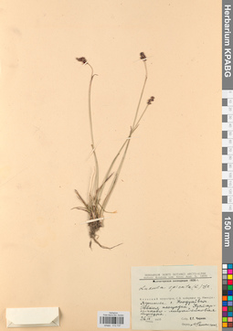 KPABG012737