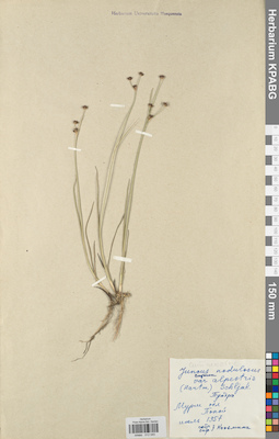 KPABG012040