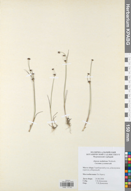 KPABG012042