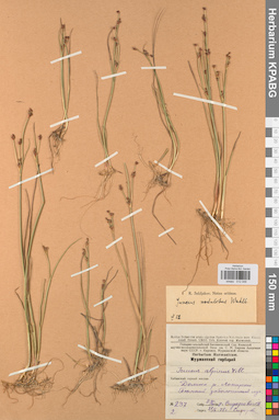 KPABG012048