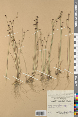 KPABG012053