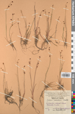 KPABG012057