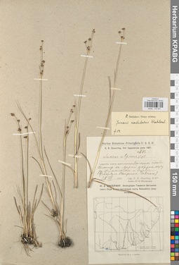 KPABG012061