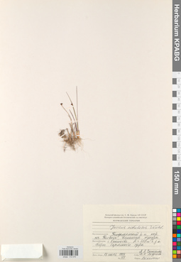 KPABG012075