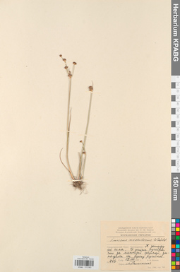 KPABG012083