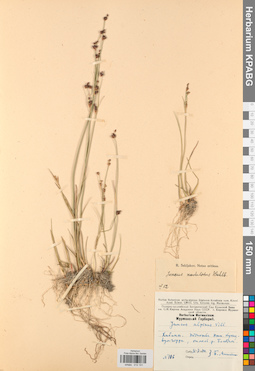 KPABG012101