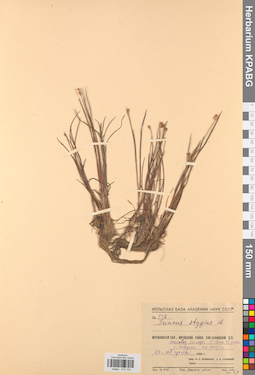 KPABG012133