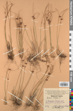 KPABG012154
