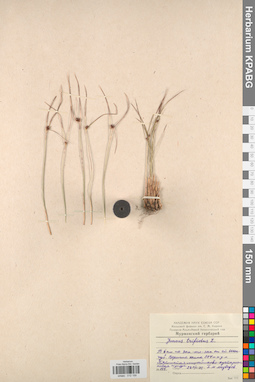 KPABG012159