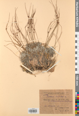 KPABG012163