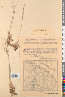 KPABG012190