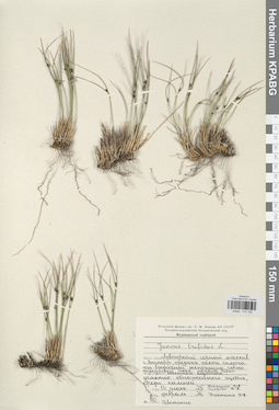 KPABG012192