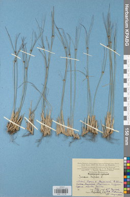 KPABG012194