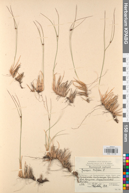 KPABG012195
