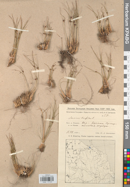 KPABG012225