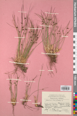 KPABG012233