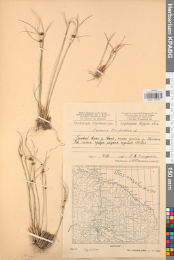 KPABG012255