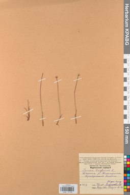 KPABG012282