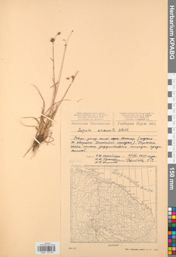 KPABG012344