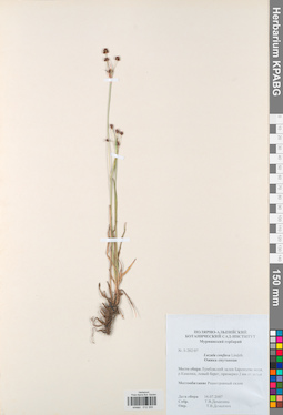 KPABG012355