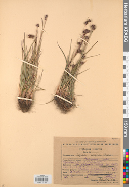 KPABG012368