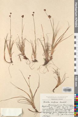 KPABG019582