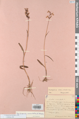 KPABG013893