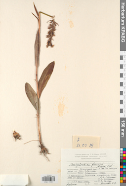 KPABG013901
