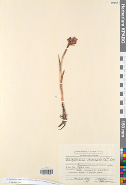 KPABG013906