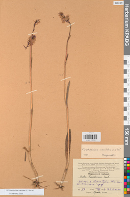 KPABG013935