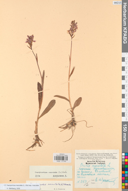 KPABG013939