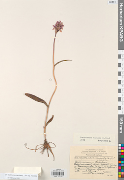 KPABG013941
