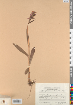 KPABG013951