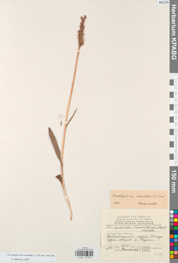 KPABG013955
