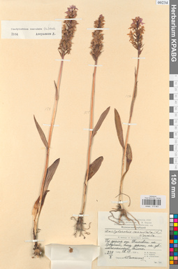 KPABG013963