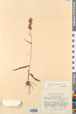 KPABG013966