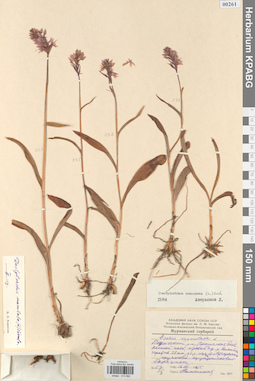 KPABG013992