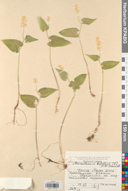 KPABG013260